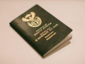 Applying for South African Passport and Citizenship